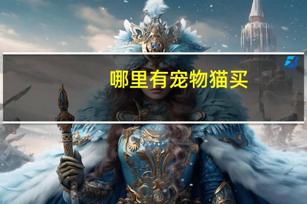 哪里有宠物猫买