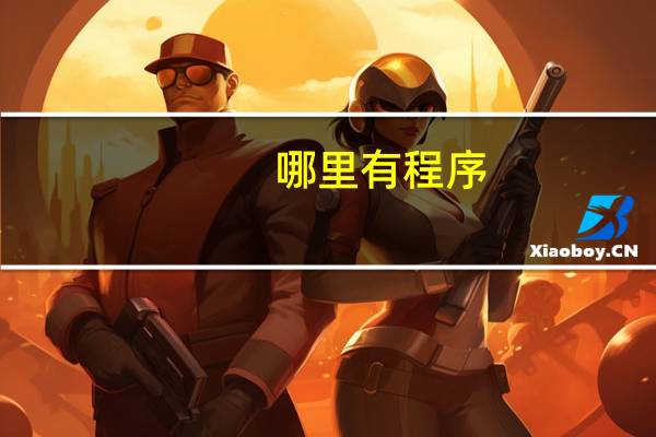 哪里有程序
