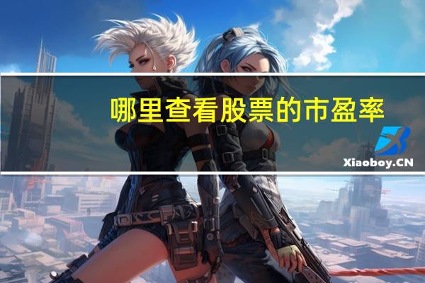 哪里查看股票的市盈率