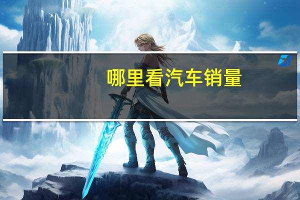 哪里看汽车销量
