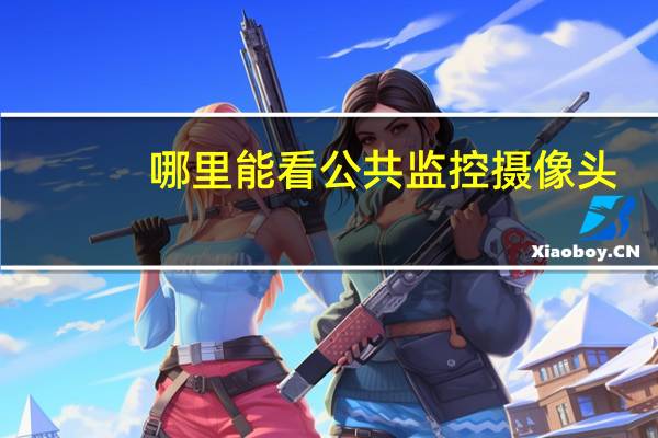 哪里能看公共监控摄像头