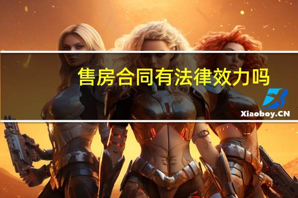 售房合同有法律效力吗