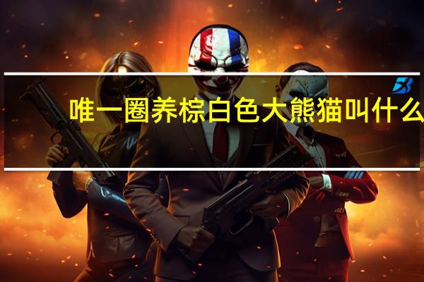 唯一圈养棕白色大熊猫叫什么
