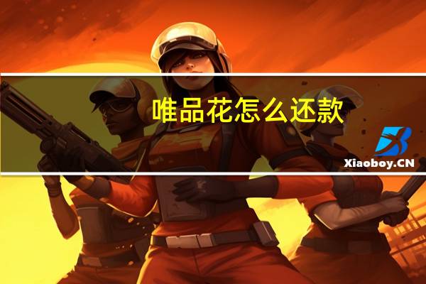 唯品花怎么还款