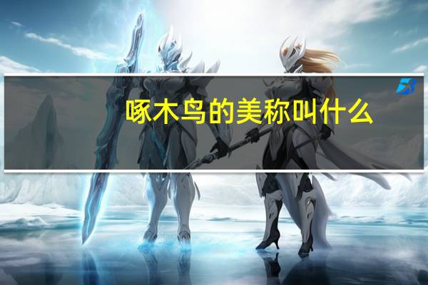 啄木鸟的美称叫什么