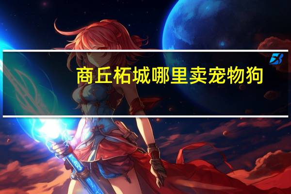 商丘柘城哪里卖宠物狗
