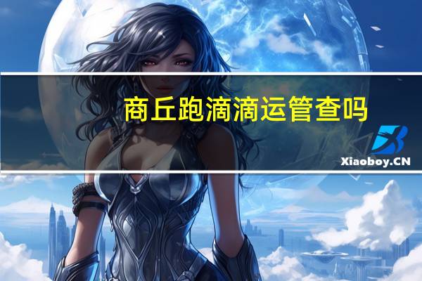 商丘跑滴滴运管查吗