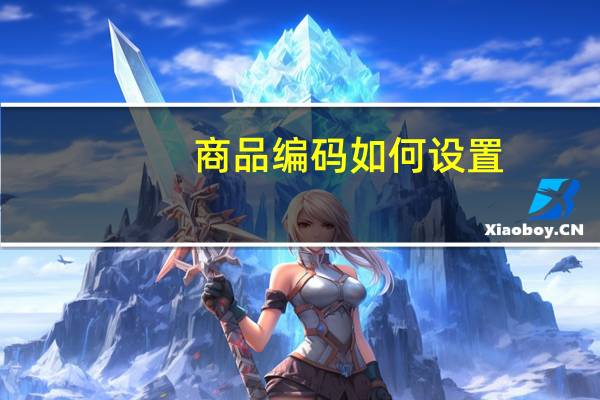 商品编码如何设置
