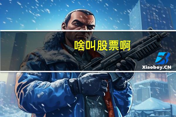 啥叫股票啊