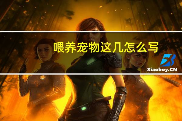 喂养宠物这几怎么写