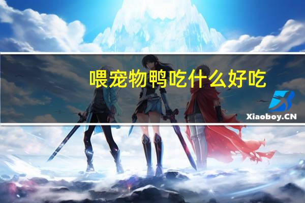 喂宠物鸭吃什么好吃