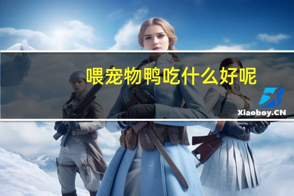 喂宠物鸭吃什么好呢