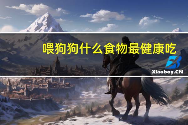 喂狗狗什么食物最健康吃
