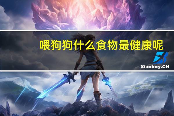 喂狗狗什么食物最健康呢