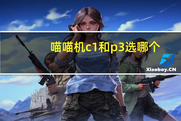 喵喵机c1和p3选哪个