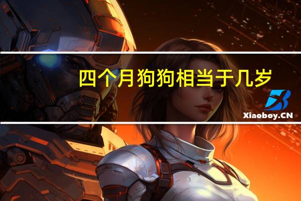 四个月狗狗相当于几岁