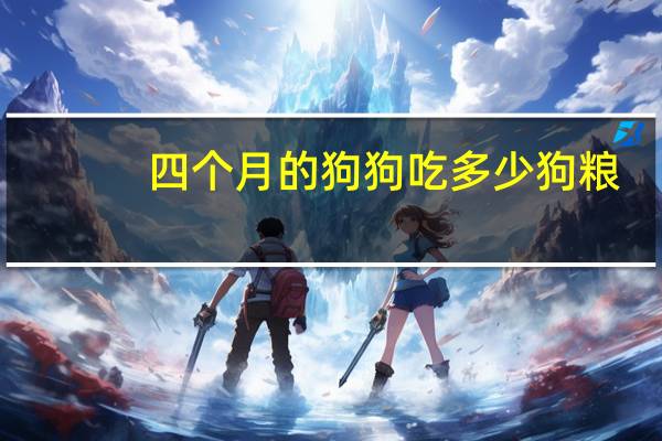 四个月的狗狗吃多少狗粮
