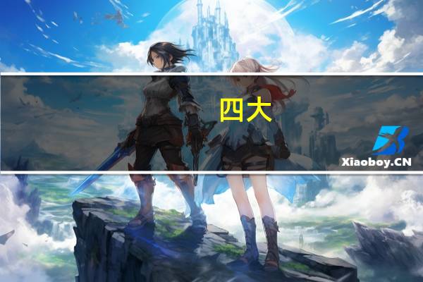 四大 工作什么条件