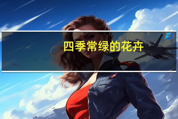 四季常绿的花卉