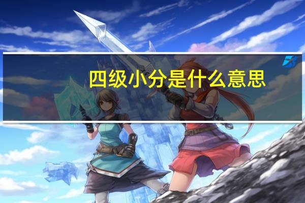 四级小分是什么意思