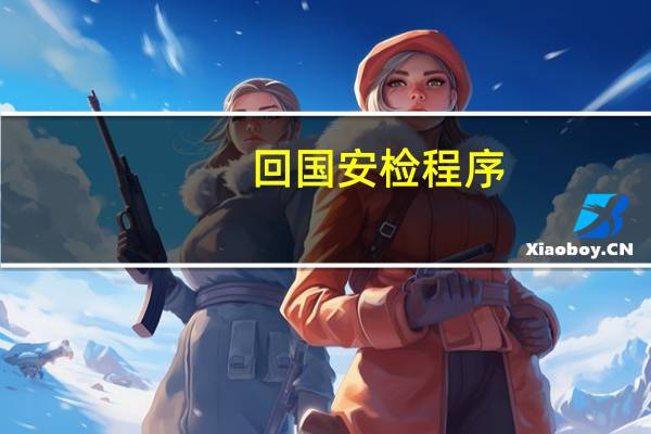 回国安检程序