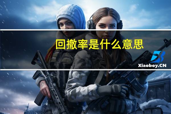 回撤率是什么意思