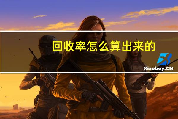 回收率怎么算出来的