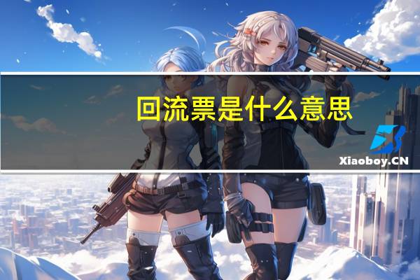 回流票是什么意思