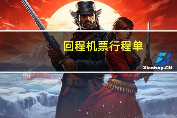 回程机票行程单