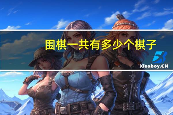 围棋一共有多少个棋子