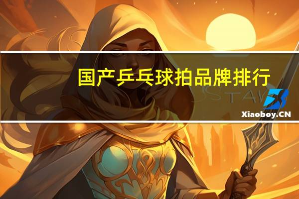 国产乒乓球拍品牌排行