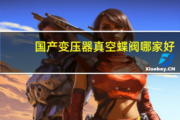 国产变压器真空蝶阀哪家好