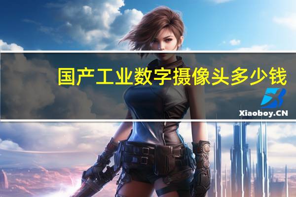 国产工业数字摄像头多少钱