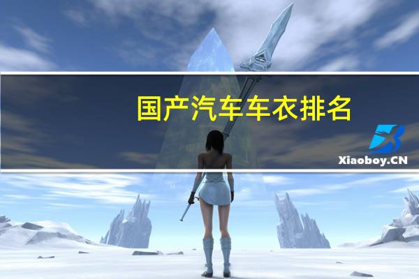 国产汽车车衣排名