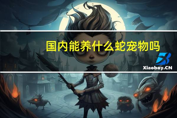 国内能养什么蛇宠物吗