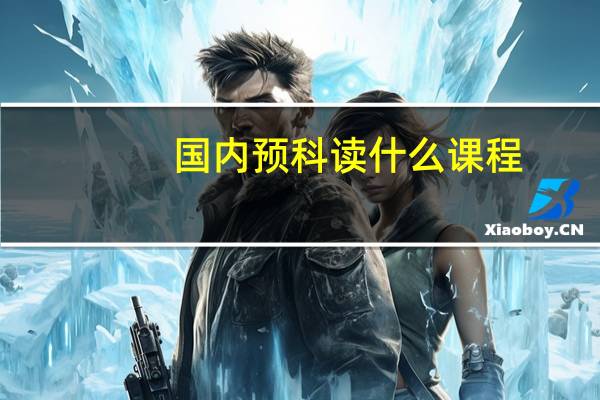 国内预科读什么课程