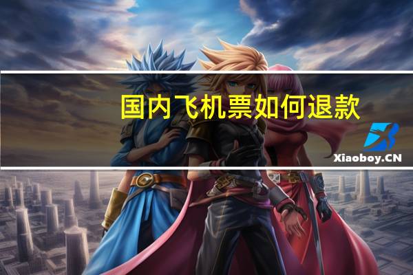 国内飞机票如何退款