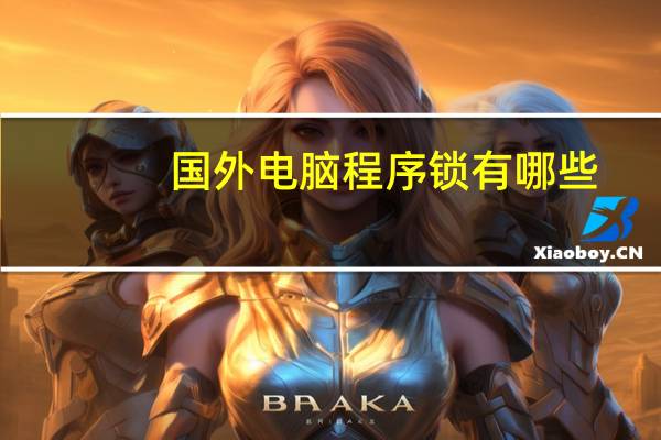 国外电脑程序锁有哪些