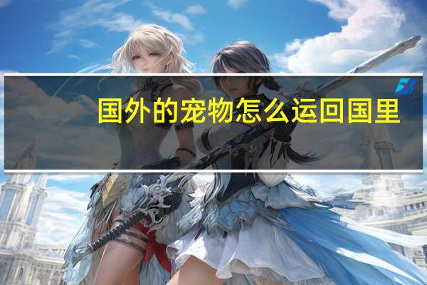 国外的宠物怎么运回国里