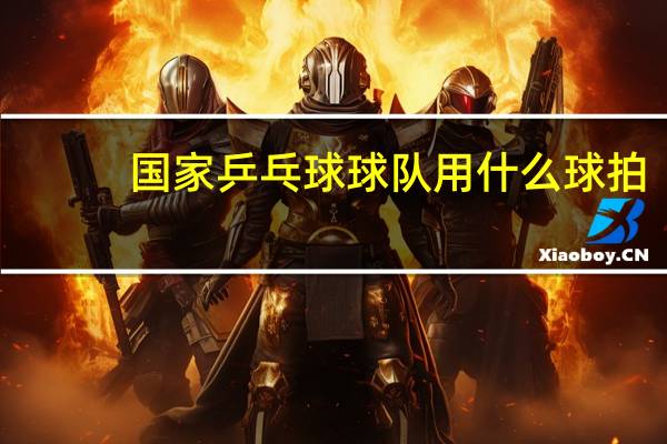 国家乒乓球球队用什么球拍