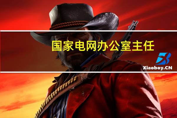 国家电网办公室主任