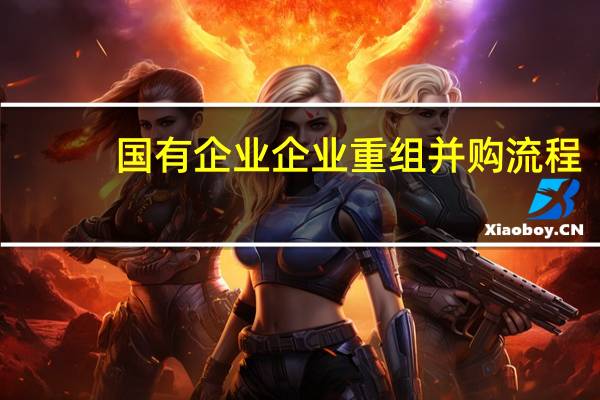 国有企业企业重组并购流程