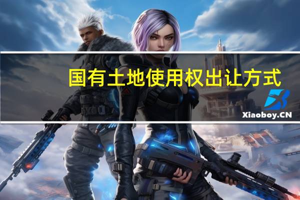 国有土地使用权出让方式