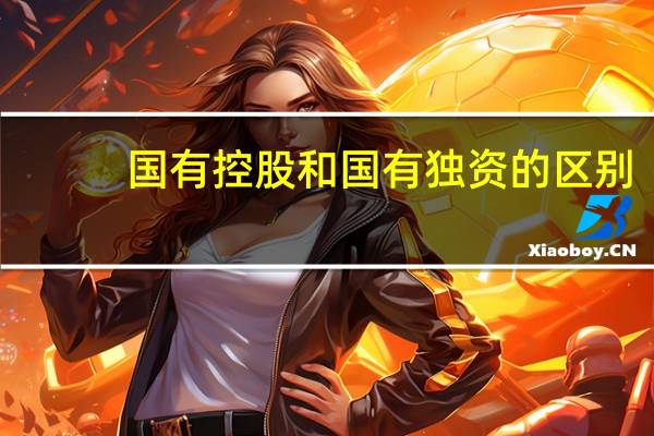 国有控股和国有独资的区别