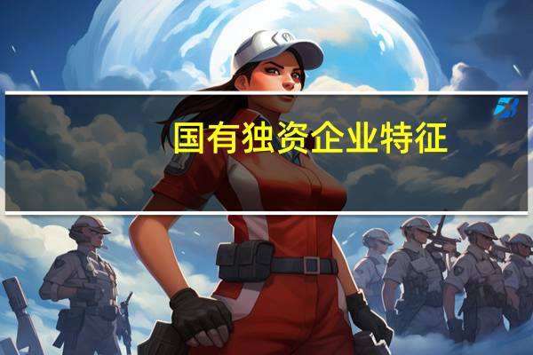 国有独资企业特征