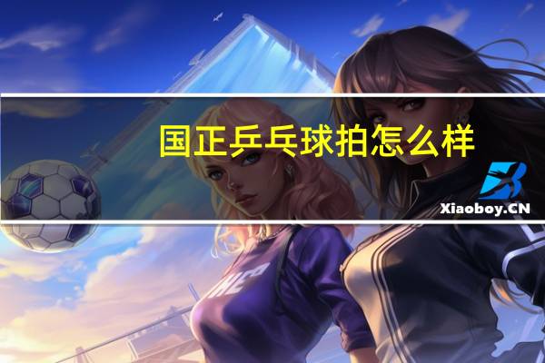 国正乒乓球拍怎么样