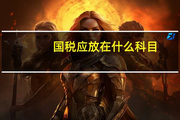 国税应放在什么科目