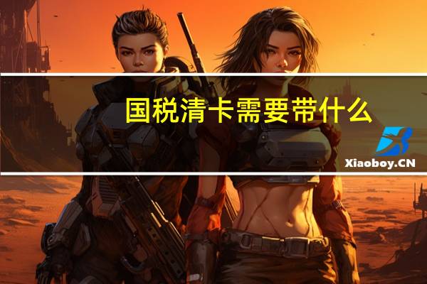 国税清卡需要带什么