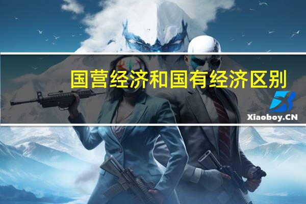 国营经济和国有经济区别