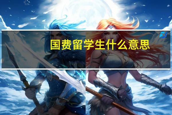 国费留学生什么意思